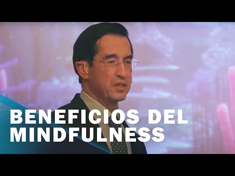 Beneficios del Mindfulness en salud, productividad y organizaciones | Mario Alonso Puig hqdefault