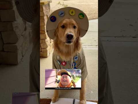 Video: Câine mama îi onorează câinele prin Photoshopping ei în postere de film celebre