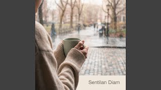 Sentilan Diam