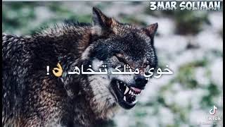 الذيب دربه خلاوي