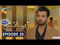 Zebaish | Episode 25 | Digitally Powered By Master Paints | HUM TV | Drama | 27 November 2020