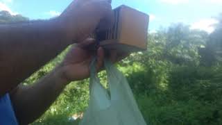 Libertando os passaros da floresta das fadas screenshot 4