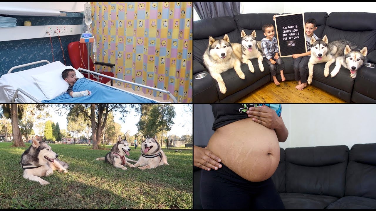 LIFE WITH 4 HUSKIES, 2 BOYS & PREGNANT | VLOG!