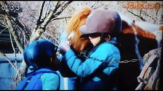 クローバー牧場　ニュースかいどき キッズの活動