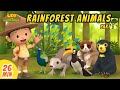 Rainforest Animals Minisode Compilation Part 1 2 Leo The Wildlife Ranger Animation For Kids