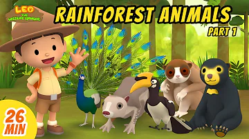 Rainforest Animals Minisode Compilation (Part 1/2) - Leo the Wildlife Ranger | Animation | For Kids