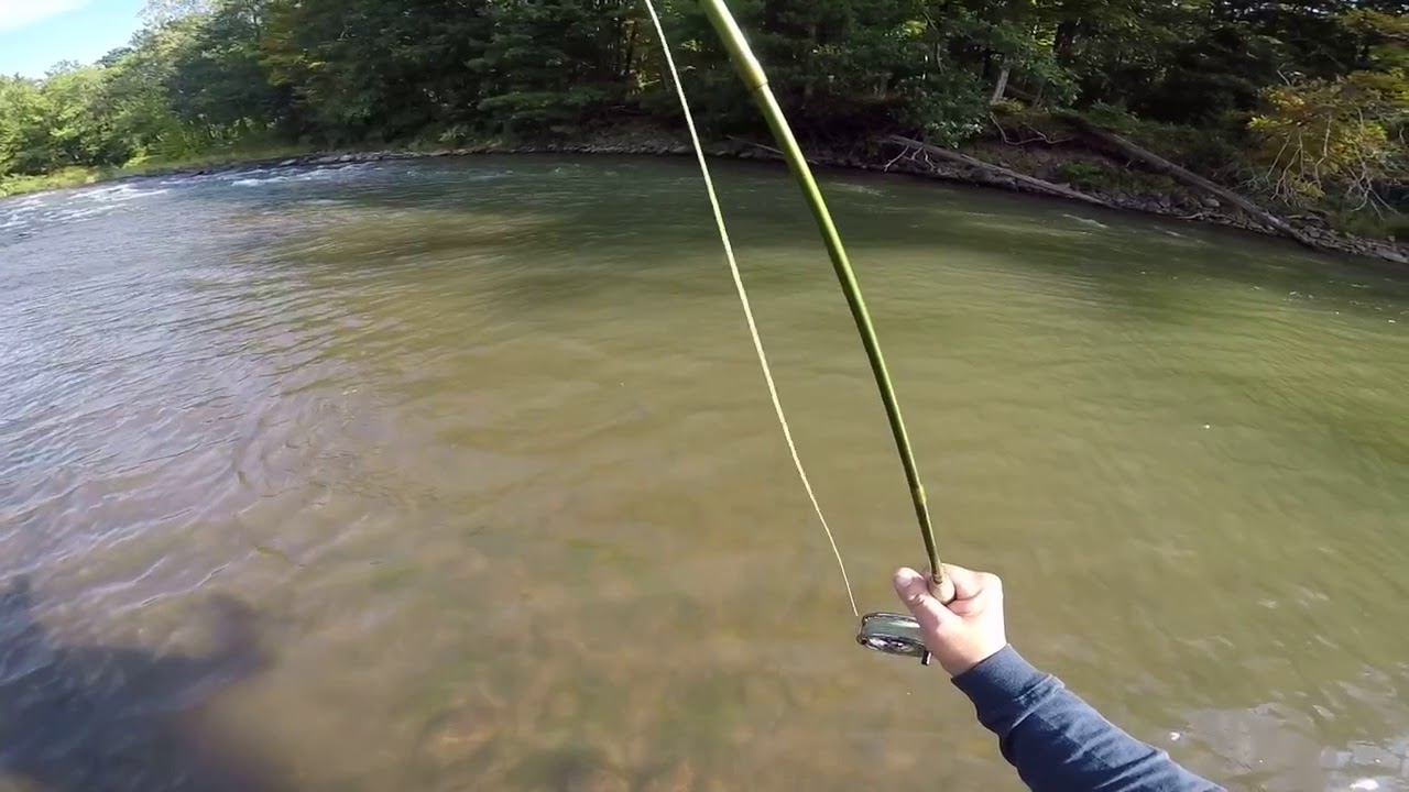 Esopus Creek Fly Fishing YouTube