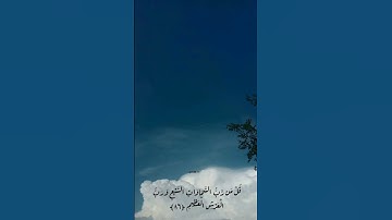 سورة المؤمنون  الايه 87بصوت ياسر الدوسري🤍🌷💗