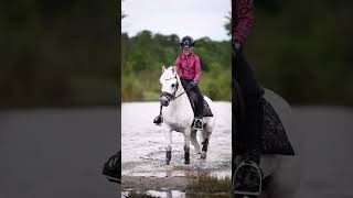 Sterre & Coco | short horse video by Sanne Wiering