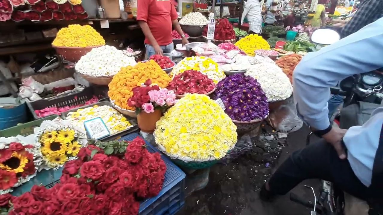 😀🎉❤️🎉 भगवान पर चढ़ने वाले कितने प्यारे प्यारे फूल धतूरा बेलपत्र काफल बोलो शंकर भगवान कीजय ll#भक्ति#