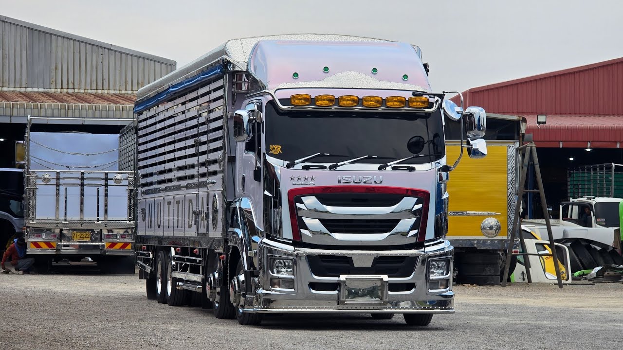 Isuzu Giga 12 ล้อแท่นเตี้ย รถบรรทุกควายงาม พร้อมส่งณัฐธิดาฟาร์ม จ.อุทัยธานี  #ไม่เคยขัดจัดให้ตลอด