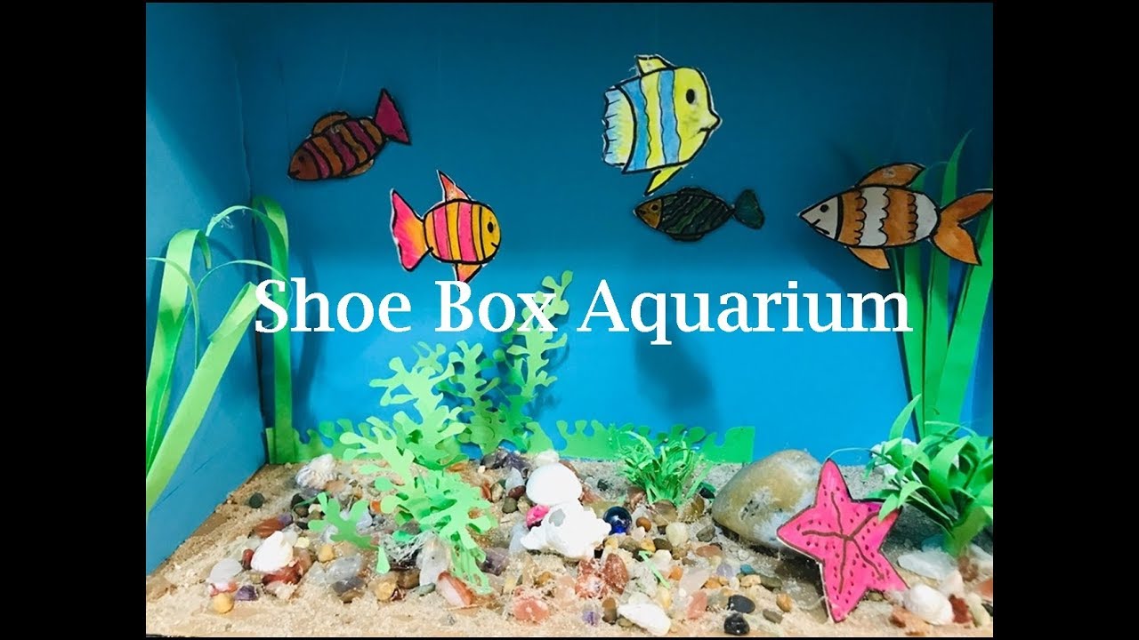 Shoe Box Aquarium Aquarium For School Project Diy 3d Craft