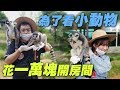 【06小隊】為了看小動物 花一萬塊開房間