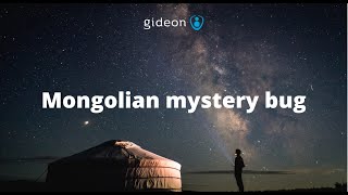 Mongolian mystery bug screenshot 1
