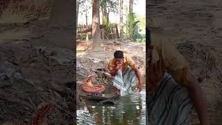 King Cobra Snake Prank On Public Part 53 !  Emtiaz Bhuyan#Shorts