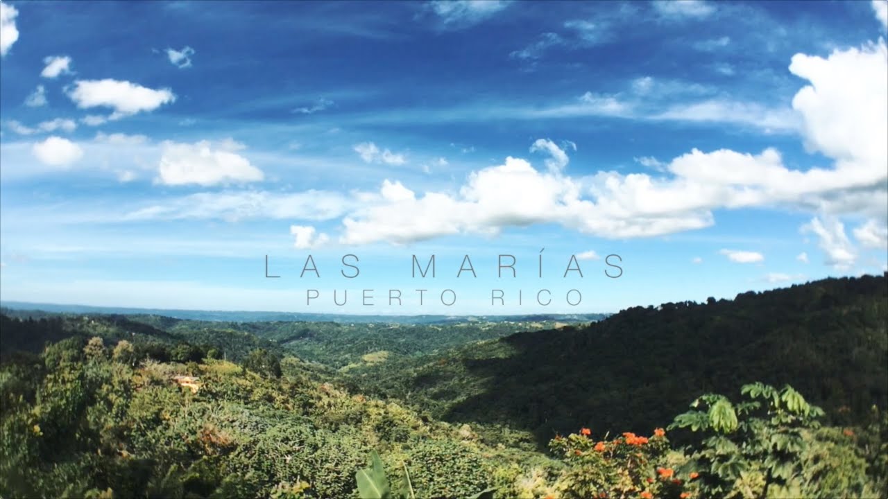 Las Marías, Puerto Rico. YouTube