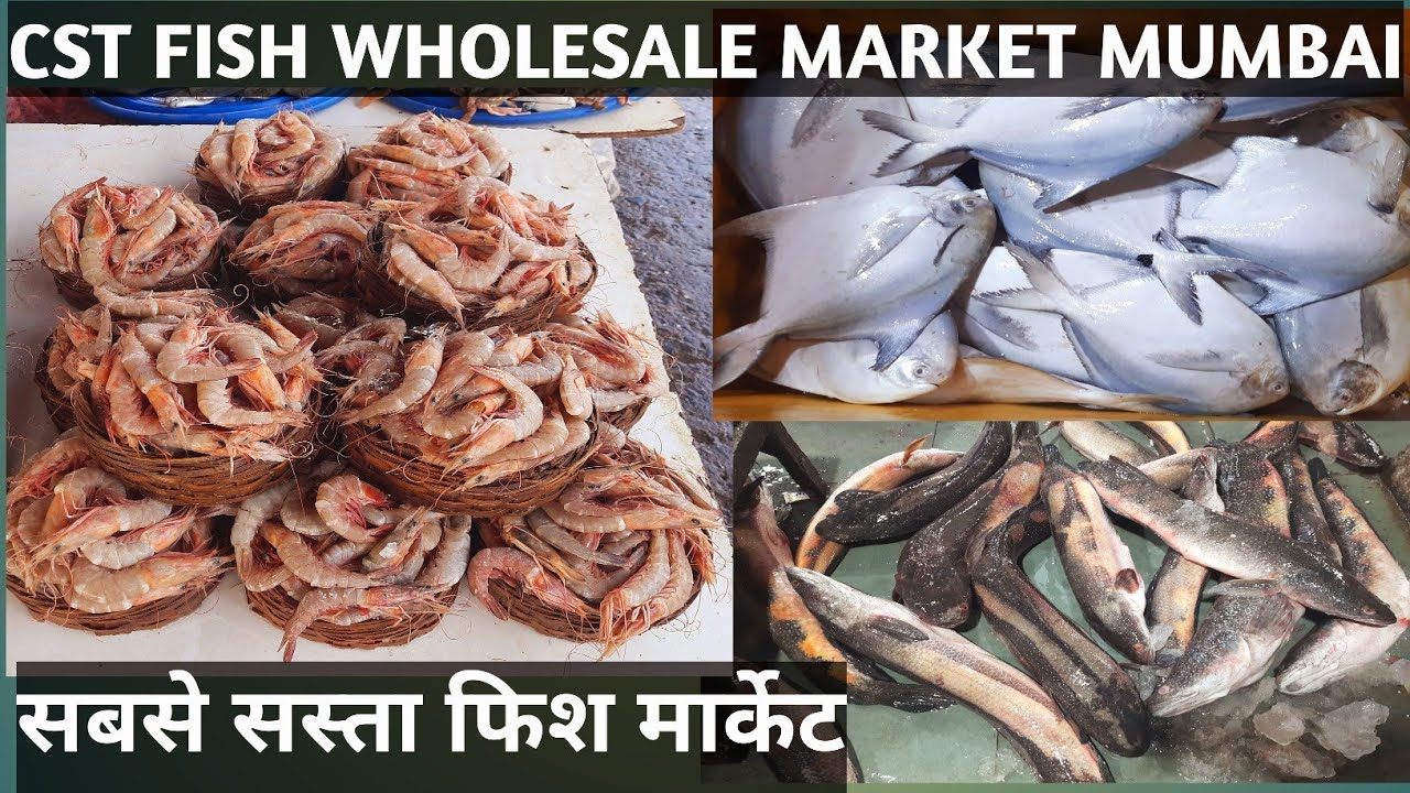 CST Fish Market l CST Fish Wholesale Market l CST Fish Market Mumbai l CSMT Fish Market YouTube