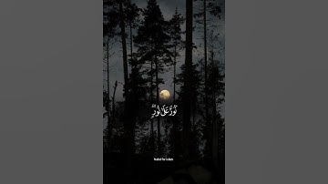 الله نور السموات والأرض | سورة النور |ياسرالدوسري🤍😴