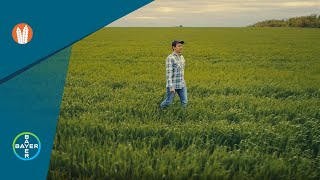 Herbicides: Control Canada Fleabane and Other Weeds with Infinity FX in Eastern Canada