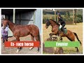 Ottb 👉 Eventer - Rubys and I journey to 2 star eventing progress (16months later)