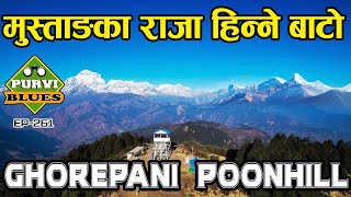Ghorepani Poon Hill || मुस्ताङको राजा हिन्ने बाटो || Kaski to Myagdi Trek #ghorepani #poonhill by PURVI BLUES 129,501 views 3 months ago 33 minutes
