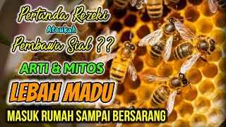 PERTANDA REZEKI ATAU PEMBAWA SIAL ?? ARTI DAN MITOS LEBAH MADU BERSARANG DI RUMAH, MAKNA LEBAH MADU