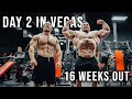 Derek lunsford  chest workout wflex lewis  16 weeks out from the 2023 mrolympia