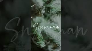 Snowman- Valentina Hurtado Zea