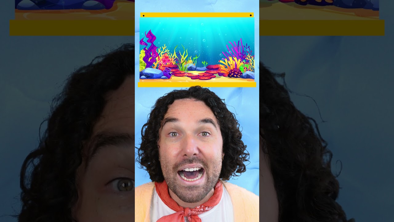 Что такое «OCÉANO»? 🌊 Давайте погрузимся!