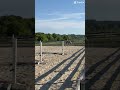 Bareback