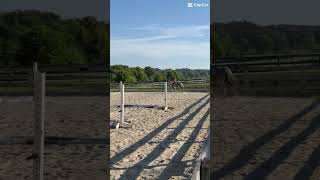 Bareback
