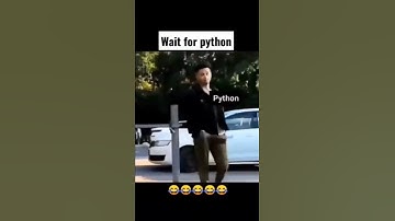 Wait for Python