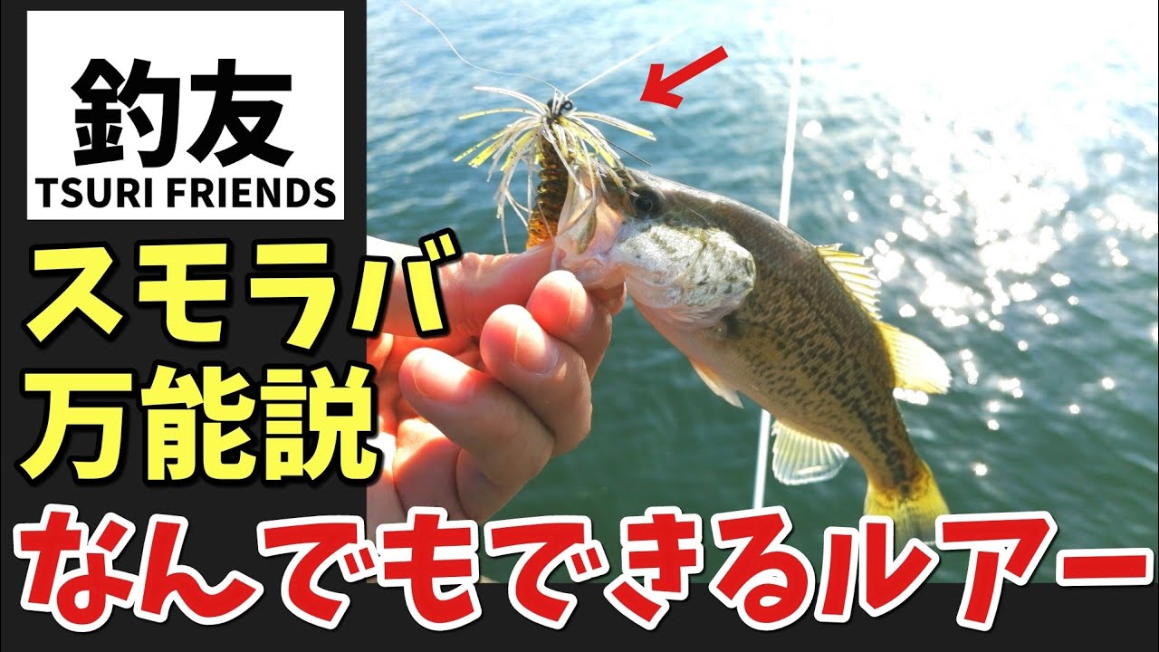 秋のバス釣り スモラバは撃ちだけじゃなく中層も狙える万能ルアー Youtube