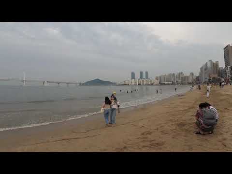 부산 광안리해수욕장 여름해변 현장생방송 [Now911 화이통방송/진행 문용호]