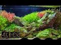 Rock Aquascape | Fixed 3hours 4K HDR 60fps • Water sound