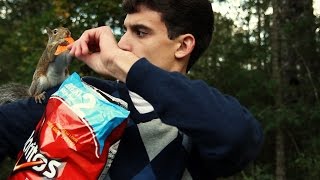 Squirrel Meets Dorito