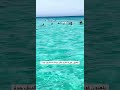 بياضه مالديف جدة 