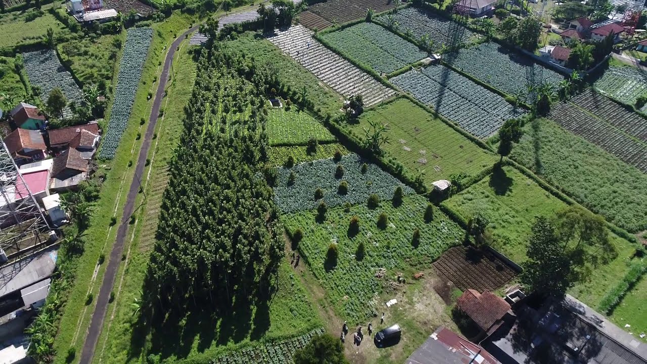 Kawasan Nouka Village Cisarua Lembang Bandung 