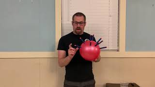 CORONAVIRUS 101! HOW DOES IT WORK!?
