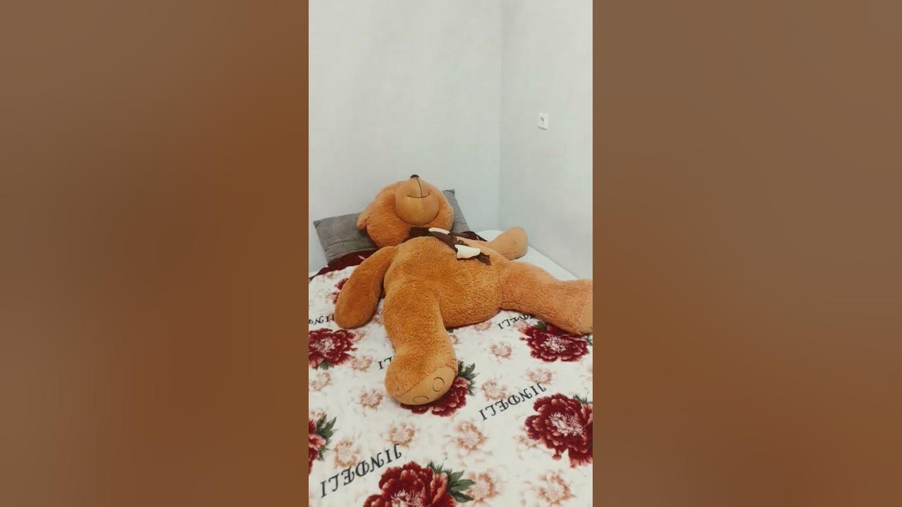 ель примо - YouTube