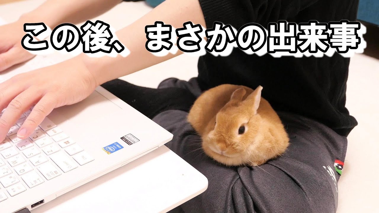 8-26「おだやかな日」 8-25「すずらんとうさぎ」おまとめ2点 自由時間にやんちゃし過ぎて、強制的にお布団に寝かしつけられちゃった