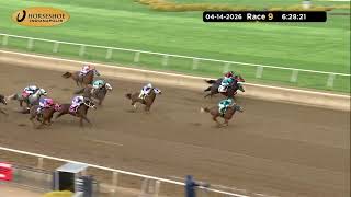 Vidéo de la course PMU RACE 9