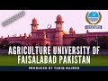 Agriculture university of faisalabad uaf pakistan documentary film by tariqmajeedofficial uaflife