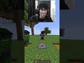Minecraft Arrow Toss🤔 #minecraft #funny #memes
