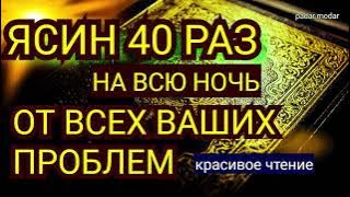 Сура Ясин 40 раз, От всех ваших проблем,  от джинов, порчи и сглаза, врагов и злых людей Sura Yassin