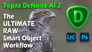 Topaz DeNoise AI v2.2.7: The Ultimate Raw Smart Object Workflow