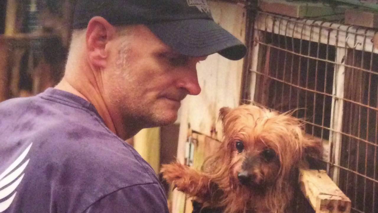 Markey Blue You are my Angel for animal rescue corps - YouTube