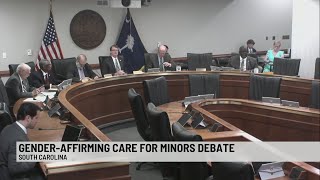 Panel of SC senators hear from supporters & critics of youth transgender care ban