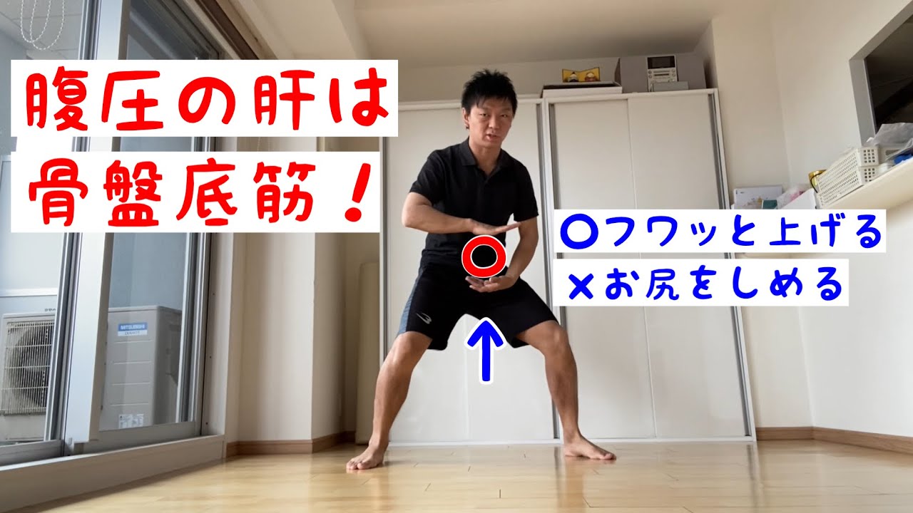 腹圧の肝は骨盤底筋