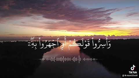 (أَلَا يَعْلَمُ مَنْ خَلَقَ وَهُوَ اللَّطِيفُ الْخَبِيرُ ) بصوت القارئ:معن عادل